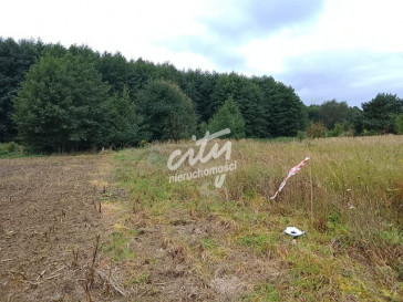 Działka Sprzedaż Stara Dąbrowa
