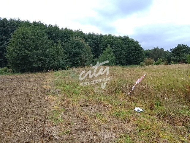 Działka Sprzedaż Stara Dąbrowa 18