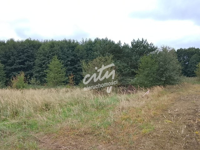 Działka Sprzedaż Stara Dąbrowa 19