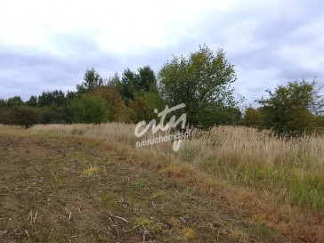 Działka Sprzedaż Stara Dąbrowa