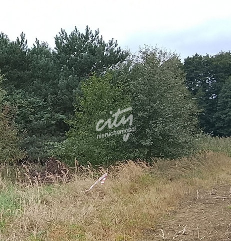 Działka Sprzedaż Stara Dąbrowa 23