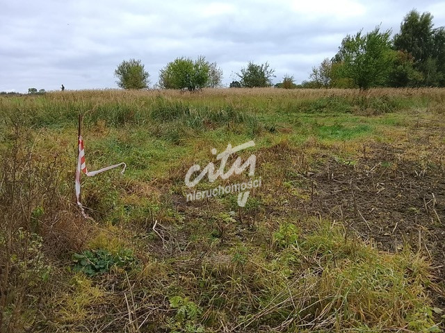 Działka Sprzedaż Stara Dąbrowa 24