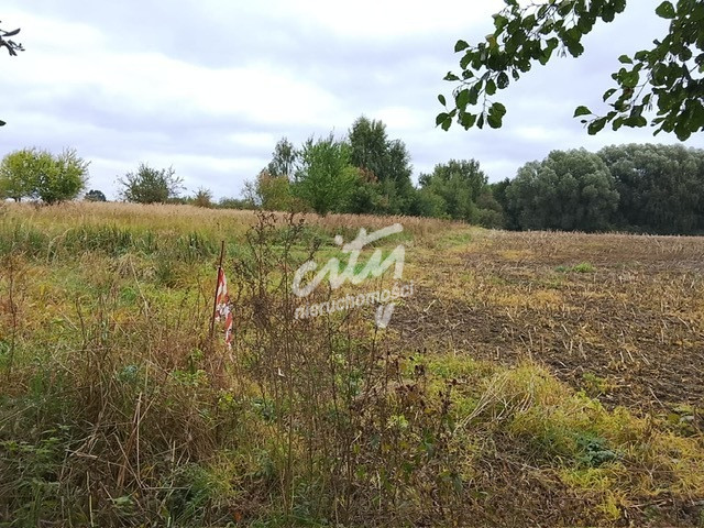 Działka Sprzedaż Stara Dąbrowa 25