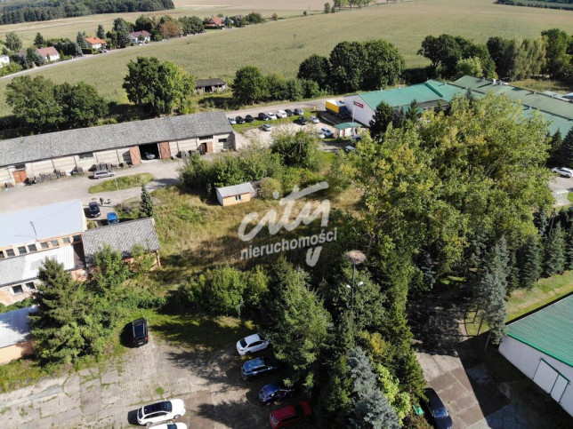 Działka Sprzedaż Osina 8