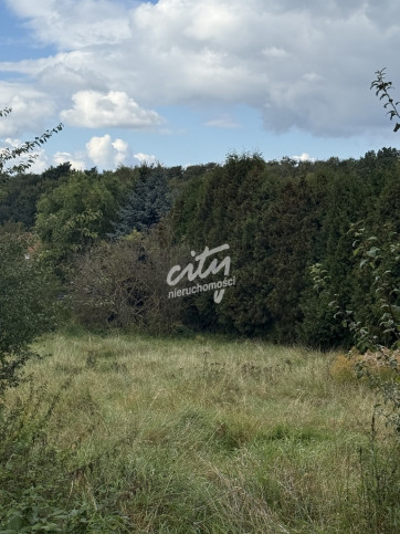 Działka Sprzedaż Szczecin Pilchowo 1