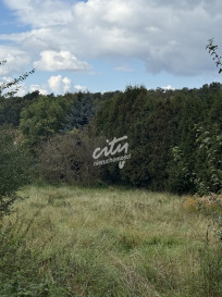 Działka Sprzedaż Szczecin Pilchowo