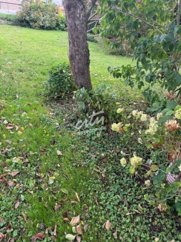 Dom Sprzedaż Kamień Pomorski 13