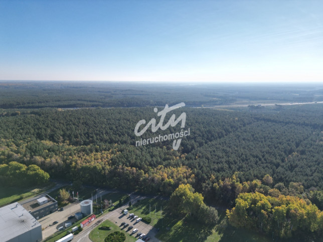 Działka Sprzedaż Łozienica 5