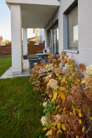 Mieszkanie Sprzedaż Szczecin Osów Gwiazdy Polarnej