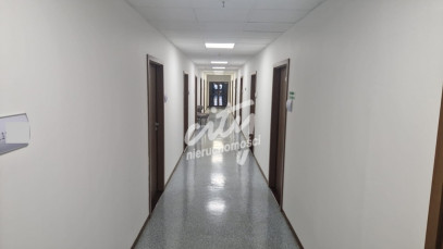 Lokal Wynajem Szczecin Centrum