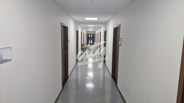 Lokal Wynajem Szczecin Centrum 1