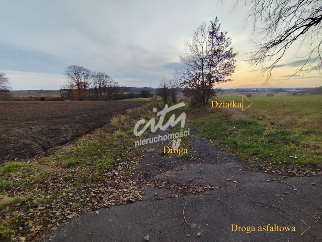 Działka Sprzedaż Wojcieszyn 8