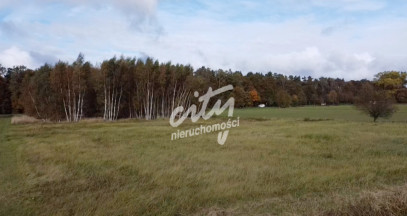 Działka Sprzedaż Chrząstowo