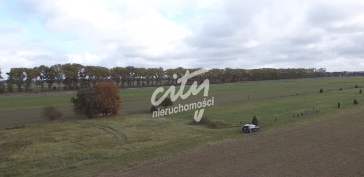 Działka Sprzedaż Chrząstowo 3