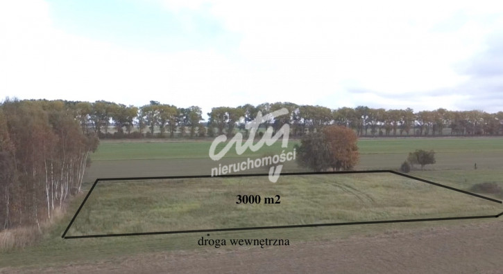 Działka Sprzedaż Chrząstowo 2