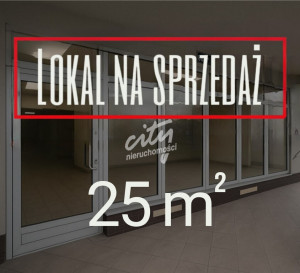 Lokal Sprzedaż Szczecin Świerczewo Stanisława Ignacego Witkiewicza