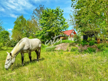 Dom Sprzedaż Trzeszczyn