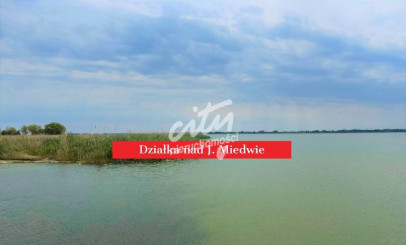 Działka Sprzedaż Wierzbno