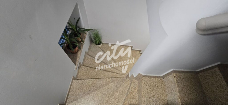 Lokal Wynajem Szczecin Śródmieście-Centrum 4