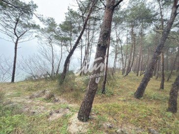 Mieszkanie Sprzedaż Międzywodzie Westerplatte