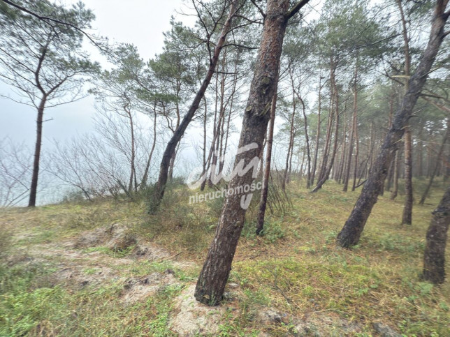 Mieszkanie Sprzedaż Międzywodzie Westerplatte 17