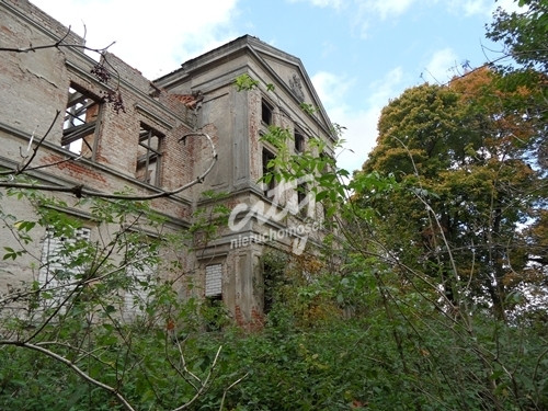 Dom Sprzedaż Wierzbięcin 9