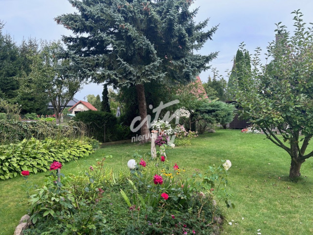 Dom Sprzedaż Nowe Warpno 19