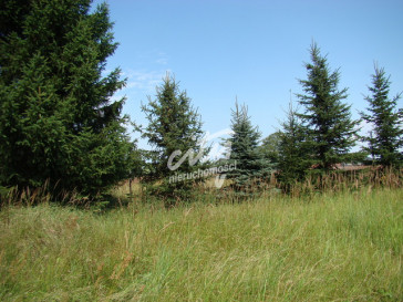 Działka Sprzedaż Kobylanka