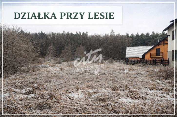 Działka Sprzedaż Pilchowo 1