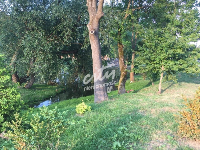 Mieszkanie Wynajem Skarbimierzyce 16