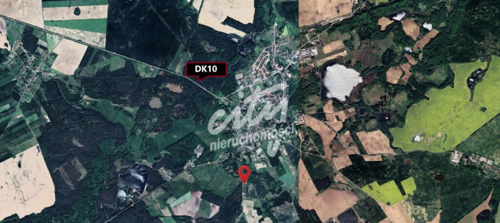 Działka Sprzedaż Recz Leśna 2