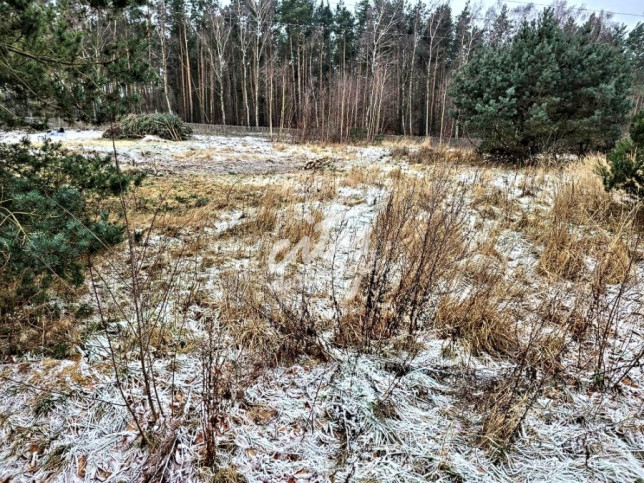 Działka Sprzedaż Dargobądz 2