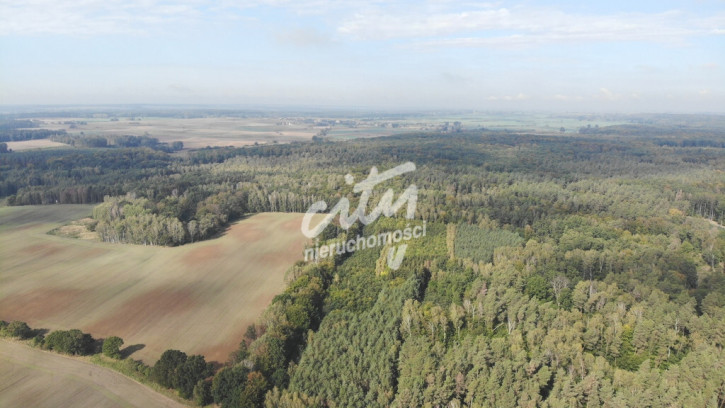 Działka Sprzedaż Rów 1