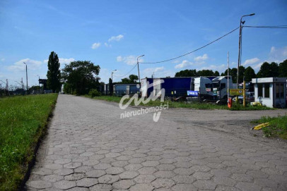 Działka Wynajem Szczecin Dąbie
