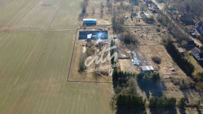 Działka Sprzedaż Dzikowo