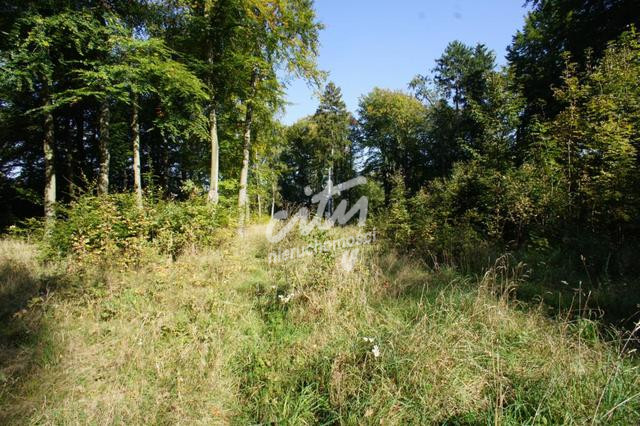 Działka Sprzedaż Dobra 12