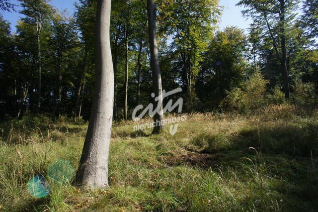 Działka Sprzedaż Dobra 13