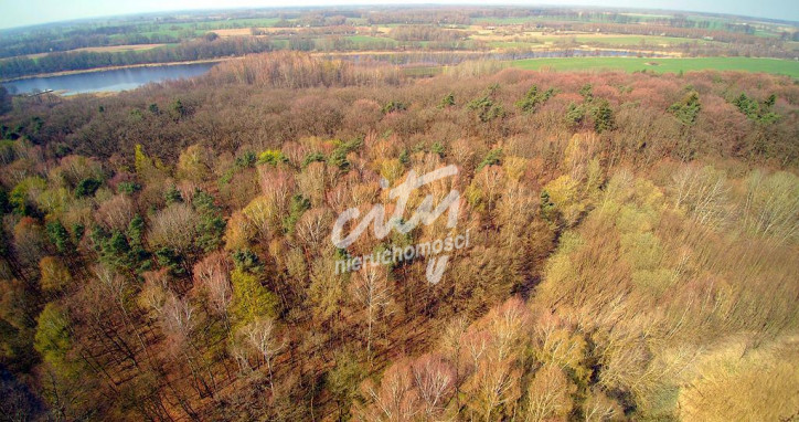 Działka Sprzedaż Dobra 16