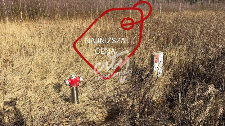 Działka Sprzedaż Żółwia Błoć 1