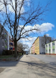 Lokal Wynajem Szczecin Śródmieście Jana Kazimierza