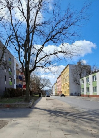 Lokal Wynajem Szczecin Śródmieście Jana Kazimierza 9