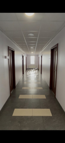 Lokal Wynajem Szczecin Śródmieście Jana Kazimierza 5