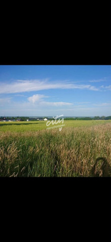 Działka Sprzedaż Szczecin Skolwin Inwalidzka 1