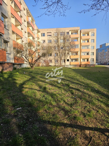 Mieszkanie Sprzedaż Szczecin Niebuszewo Księżnej Anastazji 19