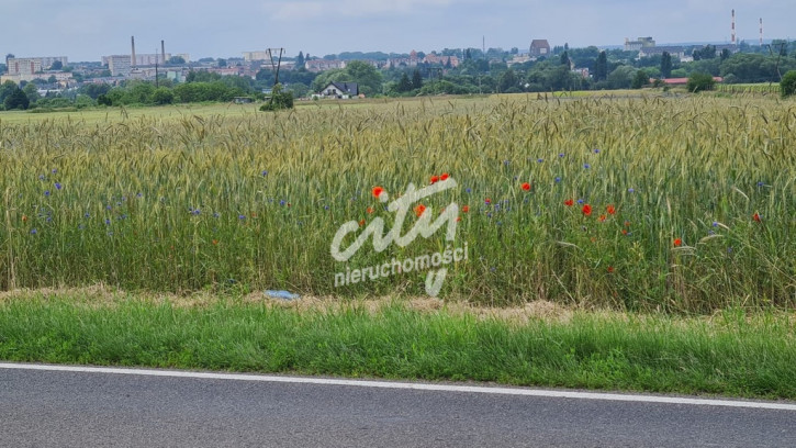 Działka Sprzedaż Stargard 4