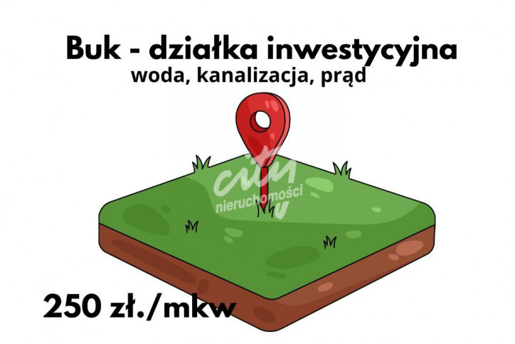 Działka Sprzedaż Buk 1