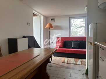 Działka Sprzedaż Wierzbno
