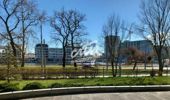 Lokal Wynajem Szczecin Śródmieście 3