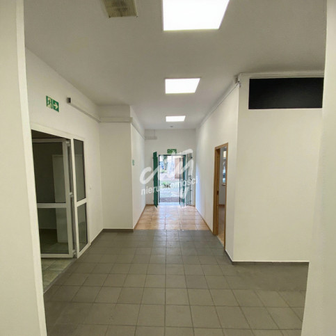 Lokal Wynajem Szczecin Centrum 5