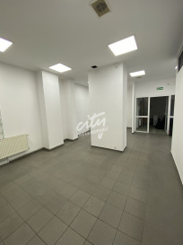 Lokal Wynajem Szczecin Centrum